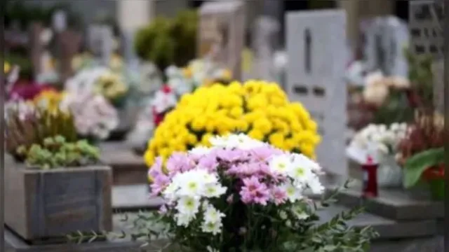 Imagem ilustrativa da notícia Dia de Finados: cemitérios terão programação especial