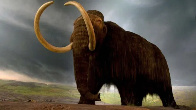 Imagem ilustrativa da notícia Jurassic Park? Empresa quer ressuscitar mamute extinto