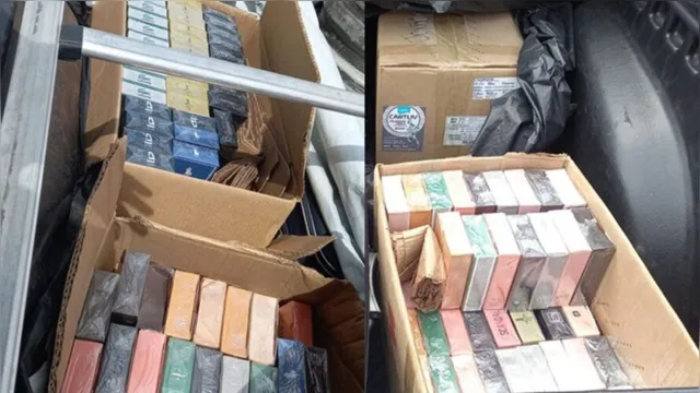 Imagem ilustrativa da notícia Vídeo: quase 700 perfumes falsificados são apreendidos