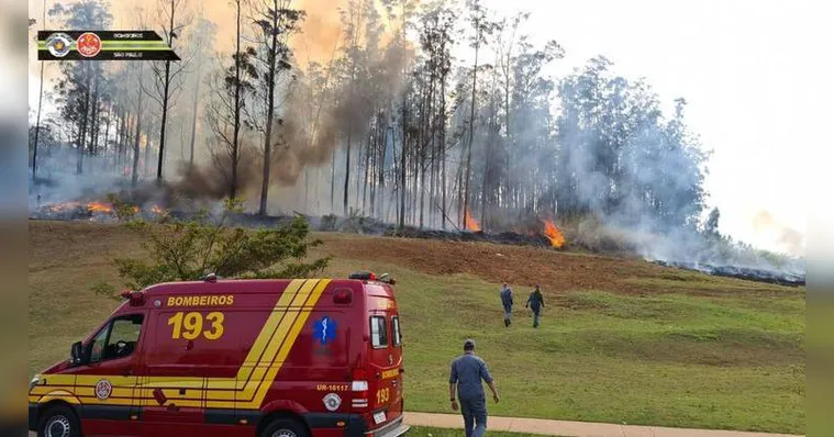 Imagem ilustrativa da notícia Imagens fortes! Vídeos mostram queda de avião que matou 7