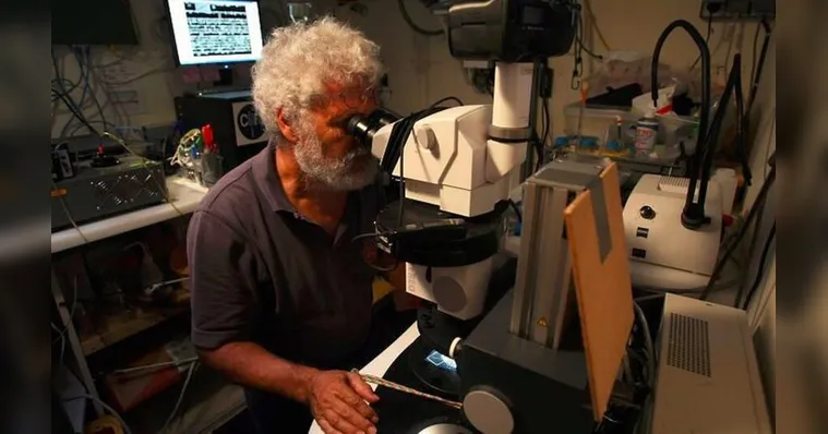 Imagem ilustrativa da notícia Navio laboratório Tara chega a Belém e recebe visitantes