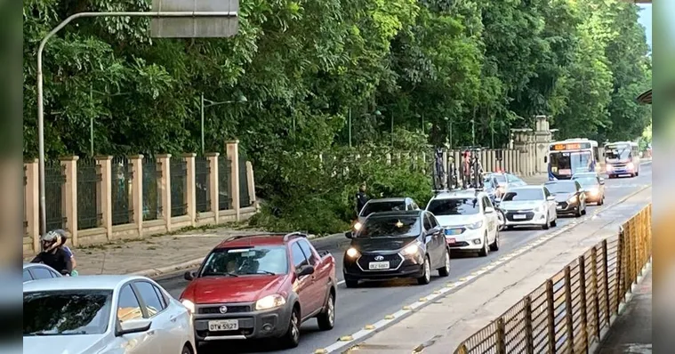 Imagem ilustrativa da notícia Vídeo: Árvore cai e assusta motoristas na Almirante Barroso