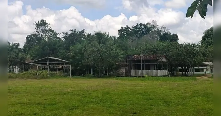 Imagem ilustrativa da notícia Vídeo: Lobisomem de Abaetetuba aterroriza moradores