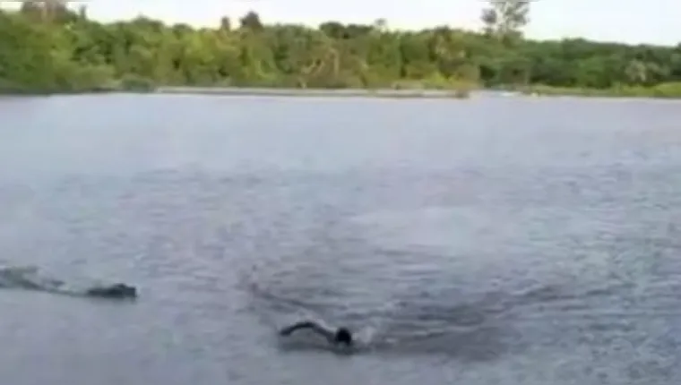 Imagem ilustrativa da notícia Vídeo: jovem entra em lago proibido e é atacado por jacaré