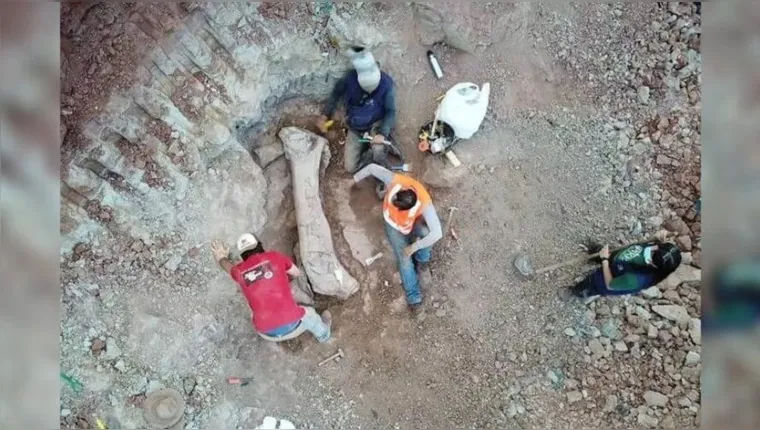 Imagem ilustrativa da notícia Ossos de dinossauro de 18 metros é achado no Maranhão