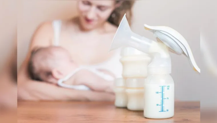 Imagem ilustrativa da notícia Campanha arrecada frascos de vidro para armazenar leite