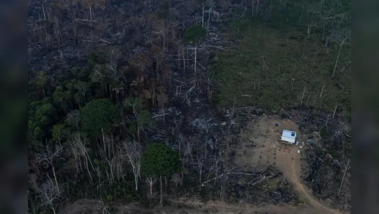 Imagem ilustrativa da notícia Desmatamento na amazônia cresceu 74% no governo Bolsonaro