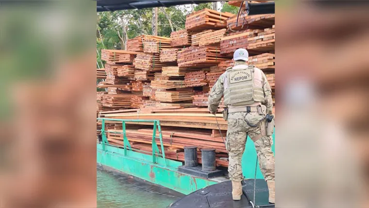Imagem ilustrativa da notícia Operação combate contrabando de madeira ilegal no Pará