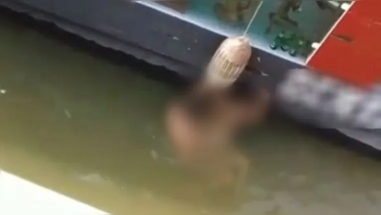 Imagem ilustrativa da notícia Vídeo: casal é flagrado fazendo sexo em flutuante na lagoa