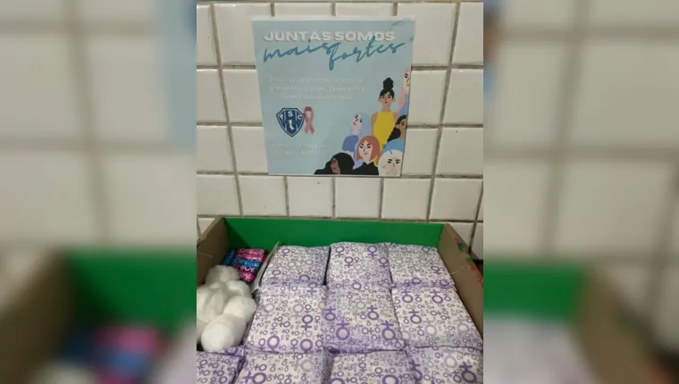 Imagem ilustrativa da notícia Paysandu disponibiliza absorventes em banheiros do estádio