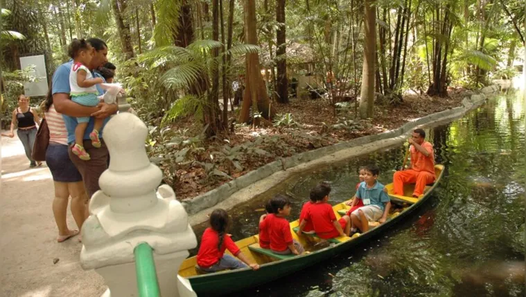 Imagem ilustrativa da notícia Bosque e Mangal terão programação para o Dia das Crianças