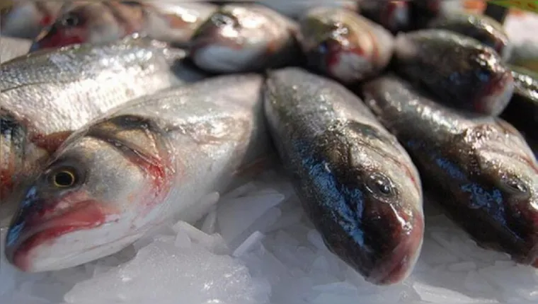 Imagem ilustrativa da notícia Urina preta: como comer peixe com segurança em Belém