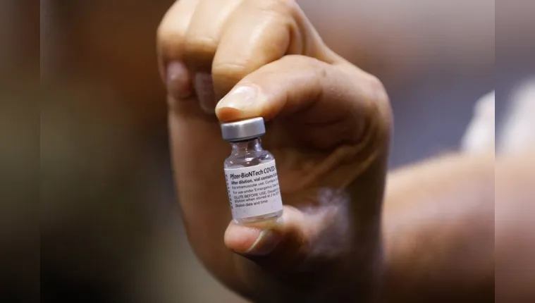 Imagem ilustrativa da notícia Brasil recebe maior remessa de vacinas da Pfizer 