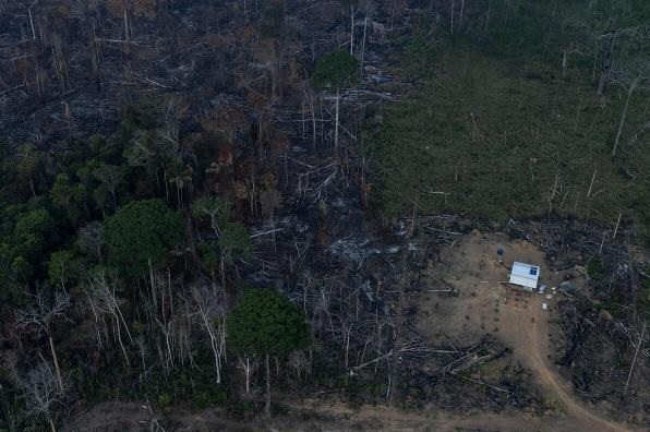 Uma das áreas desmatadas na Amazônia.