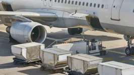 Uma investigação para entender exatamente como o homem ficou trancado na barriga do avião. 