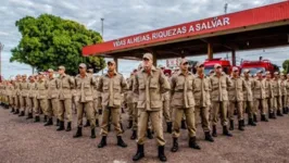 Imagem ilustrativa da notícia Bombeiros: secretaria inicia escolha de banca organizadora