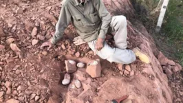 O paleontólogo William Nava ao lado dos ovos descobertos.