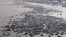 Imagem ilustrativa da notícia 'Bolas de lama' invadem praia e fenômeno assusta banhistas