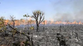 As informações foram divulgadas pela Semas