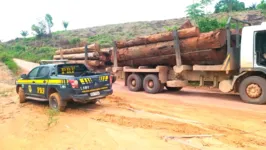 De acordo com a PRF, o motorista afirmou que a madeira seria vendida por cerca de R$ 1,4 mil, no município de Tucuruí