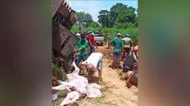 Carreta que transportava várias cabeça de gado tombou em uma curva na rodovia que dá acesso ao porto da balsa