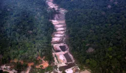 Itaituba, no Pará, é conhecida como a "cidade pepita"