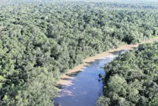Floresta Amazônica