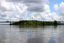 Ilha nasceu nos últimos dois anos e está situada no Furo das Marinhas