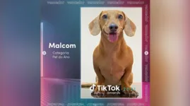 O escolhido como melhor na categoria Pet do Ano foi o cãozinho marabaense Malcom Salsicha