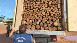 As 500 estacas de madeira, que estavam sendo transportadas de Goianésia do Pará com destino a Tucuruí