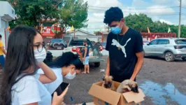 
Feira de cães e gatos realizados pela ONG “Patinhas de rua”
