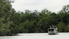Rio Maguari é o que banha a região das ilhas de Ananindeua