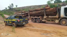 Condutor não possuía licença para transportar madeira
