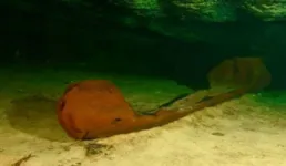 Canoa foi encontrada submersa dentro de uma piscina natural