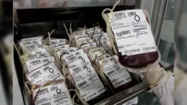 A Fundação Hemopa informa que uma bolsa de sangue pode beneficiar até quatro pacientes.