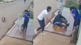 Imagem ilustrativa da notícia Vídeo: mulher tem membros dilacerados por cães em rua