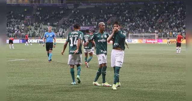 Imagem ilustrativa da notícia Vídeo: Atletas recebem homenagem no Palmeiras