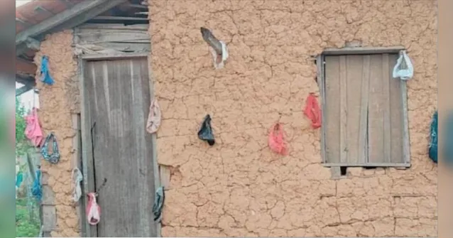 Imagem ilustrativa da notícia Vídeo: ladrão furta calcinhas para decorar a casa no Pará