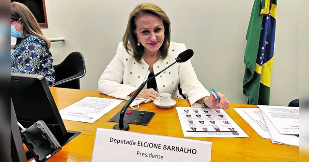 Imagem ilustrativa da notícia Ano foi de muita produtividade para Elcione 