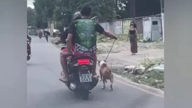 Imagem ilustrativa da notícia Vídeo: motociclistas riem enquanto puxam cão preso a guia