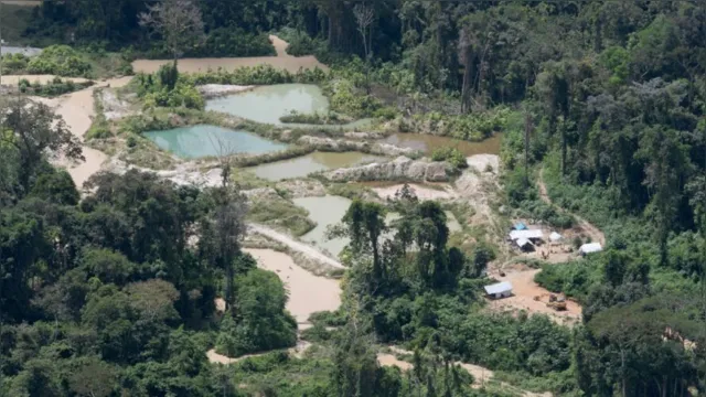 Imagem ilustrativa da notícia Contaminação: mercúrio é descoberto em garimpo na Amazônia