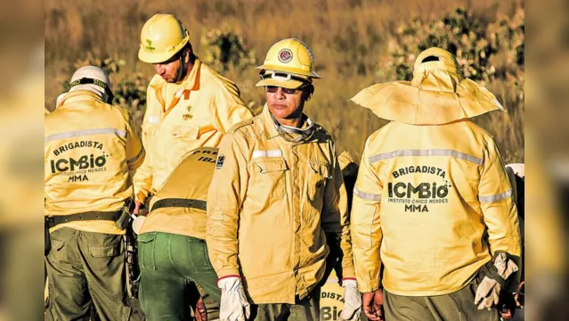 Imagem ilustrativa da notícia ICMBio abre mais de 170 vagas; salários passam de R$ 8 mil