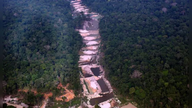 Imagem ilustrativa da notícia Bolsonaro autoriza traficantes a garimparem ouro no Pará