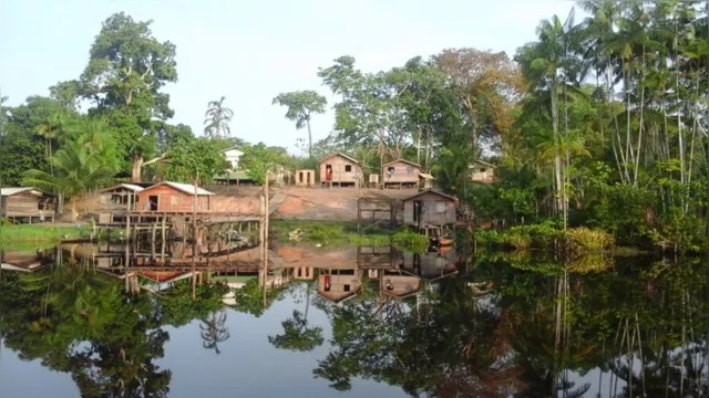 Imagem ilustrativa da notícia Floresta Nacional da Amazônia completa 60 anos