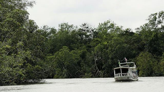 Imagem ilustrativa da notícia Ilhas
de Ananindeua são belas opções para o turismo na RMB