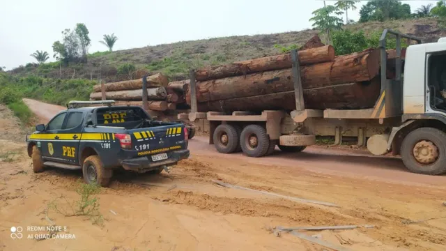 Imagem ilustrativa da notícia PRF apreende cerca de 30m³ de madeira ilegal em Marabá