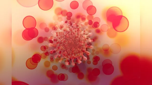 Imagem ilustrativa da notícia Ômicron pode ter coletado parte de vírus do resfriado comum