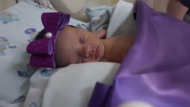 Imagem ilustrativa da notícia Vídeo: mães confeccionam presentes para bebês prematuros