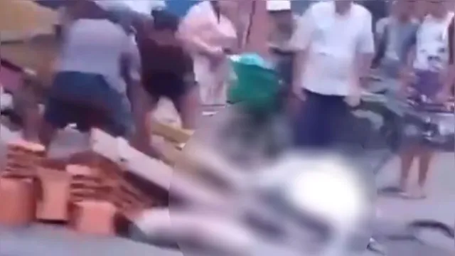 Imagem ilustrativa da notícia Vídeo: cavalo não aguenta peso de carga e desmaia na rua