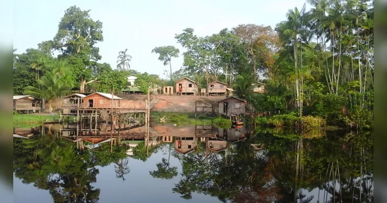Imagem ilustrativa da notícia Floresta Nacional da Amazônia completa 60 anos